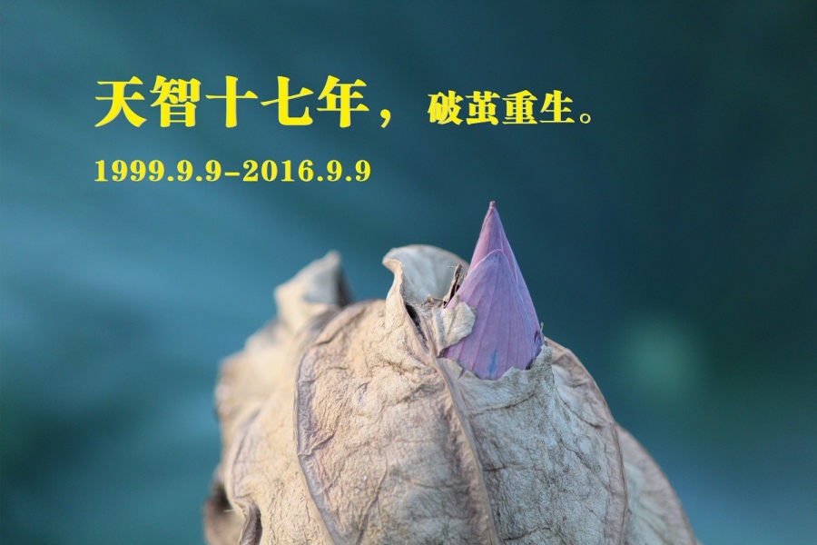 天智十七年，破繭重生。