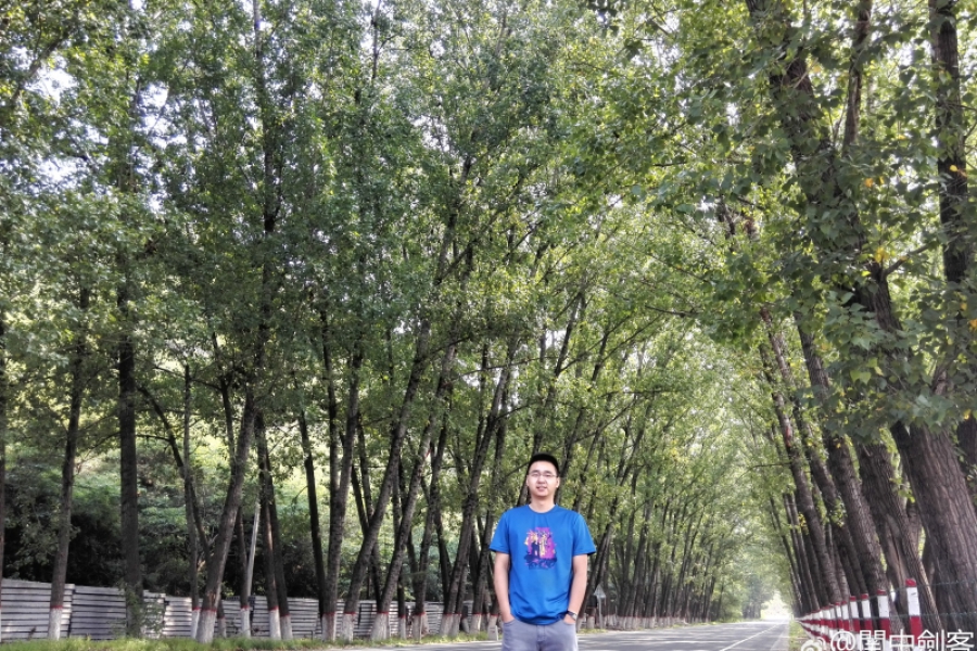 紀念逝去的林蔭大道
