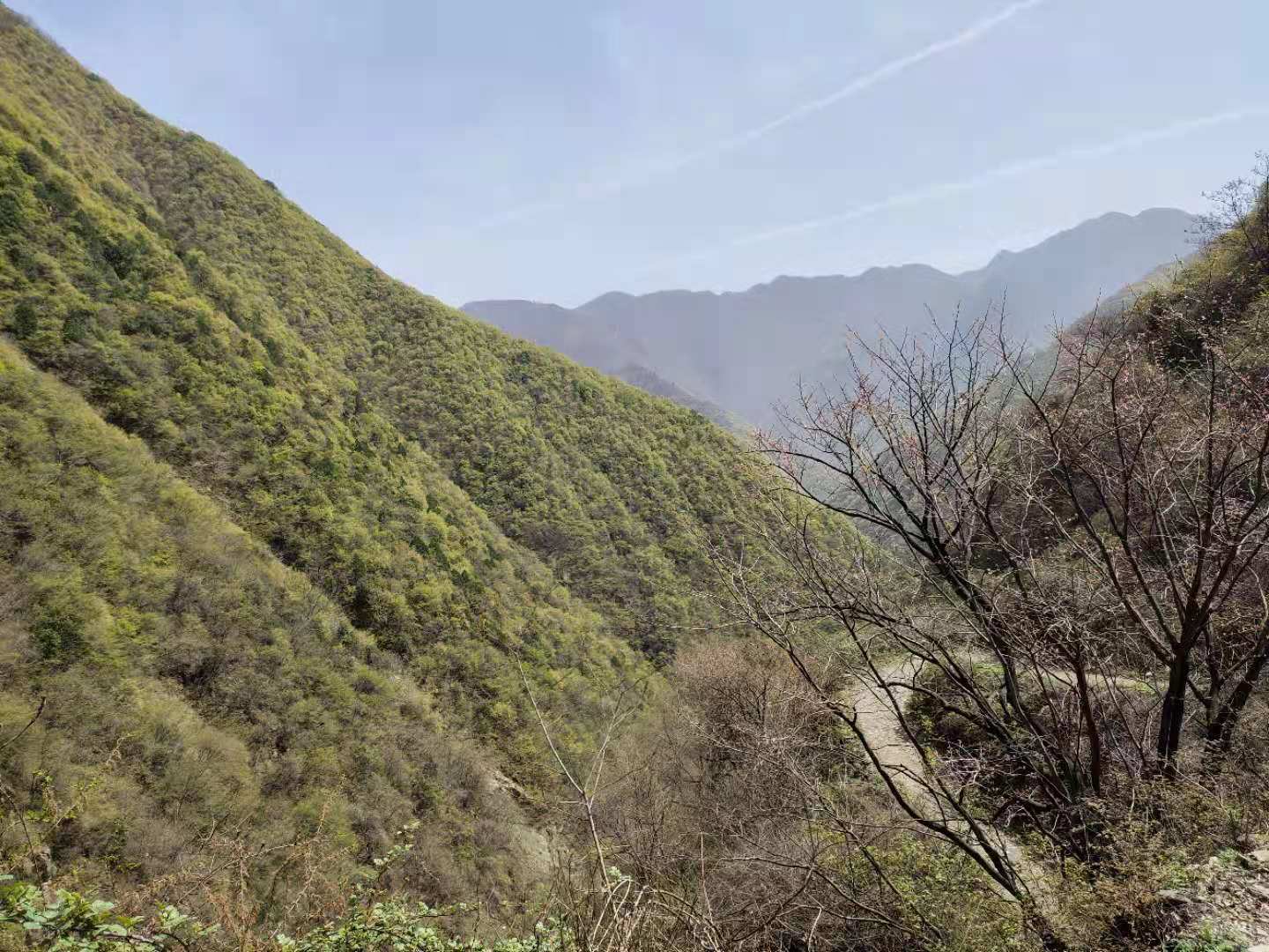團建，春到老縣城。(圖2)