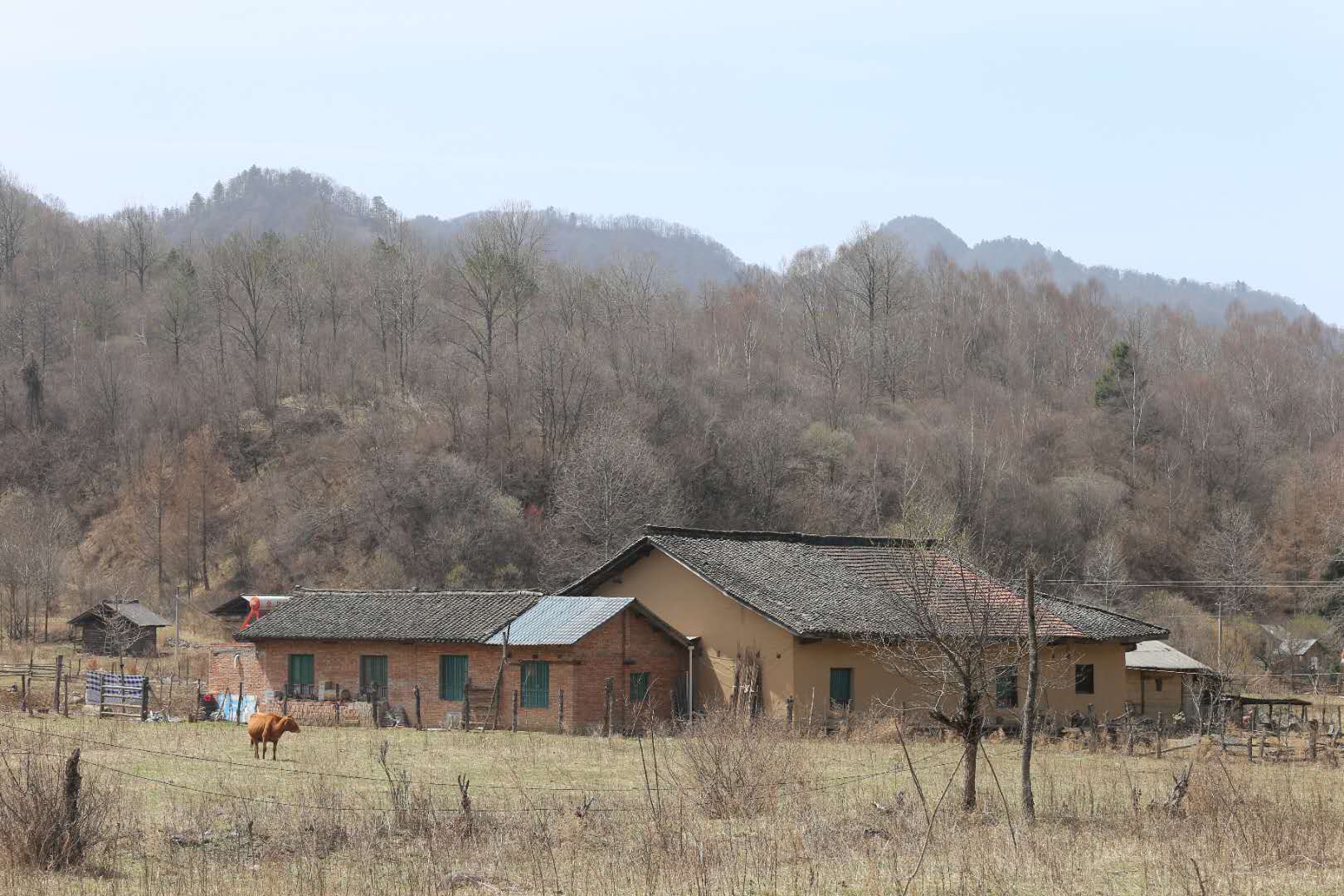 團建，春到老縣城。(圖12)